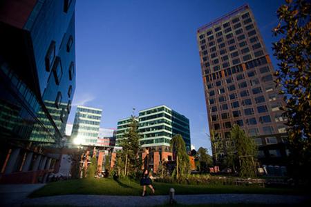 green_gold_01